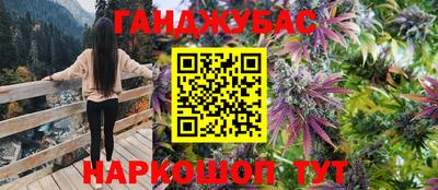ешки Камышлов