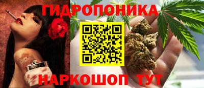 ешки Камышлов
