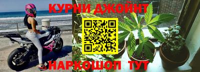 ГАЛЛЮЦИНОГЕННЫЕ ГРИБЫ Канаш