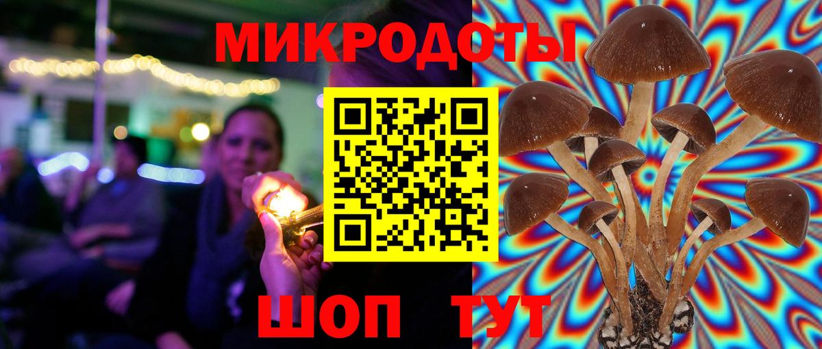 Галлюциногенные грибы Psilocybine cubensis Лабинск