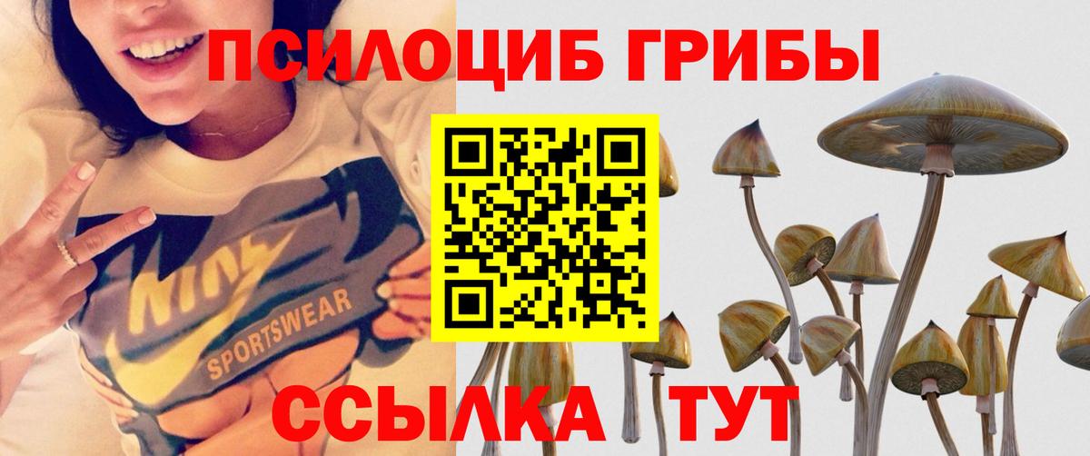 Лабинск  Галлюциногенные грибы GOLDEN TEACHER  купить наркотики сайты  Вход с VPN 